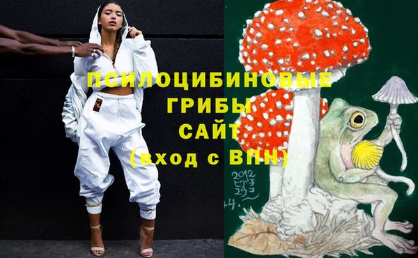 ПСИЛОЦИБИНОВЫЕ ГРИБЫ Каменка