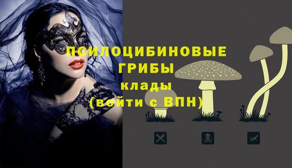 кокаин колумбия Каменногорск