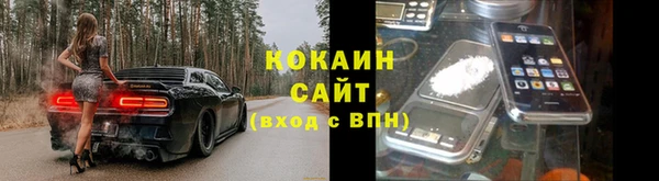 ПСИЛОЦИБИНОВЫЕ ГРИБЫ Каменка