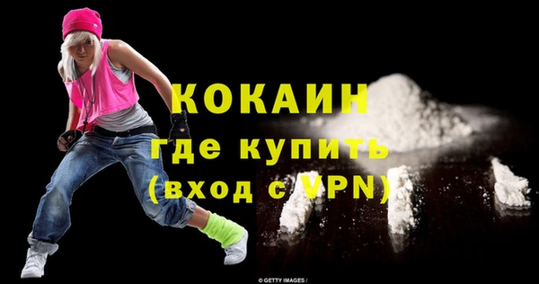 ПСИЛОЦИБИНОВЫЕ ГРИБЫ Каменка