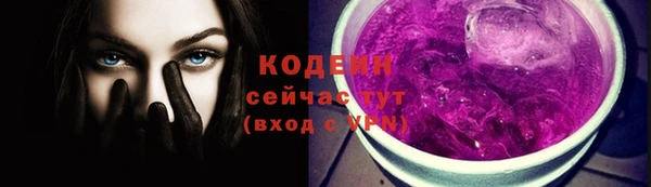 ПСИЛОЦИБИНОВЫЕ ГРИБЫ Каменка