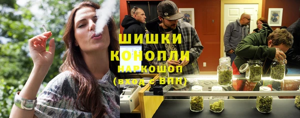 ПСИЛОЦИБИНОВЫЕ ГРИБЫ Каменка