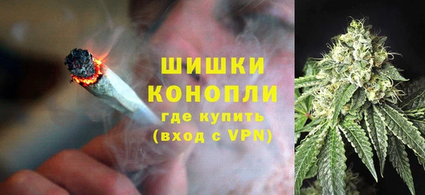 ПСИЛОЦИБИНОВЫЕ ГРИБЫ Каменка