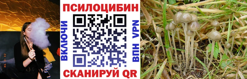 Галлюциногенные грибы Magic Shrooms Каргополь